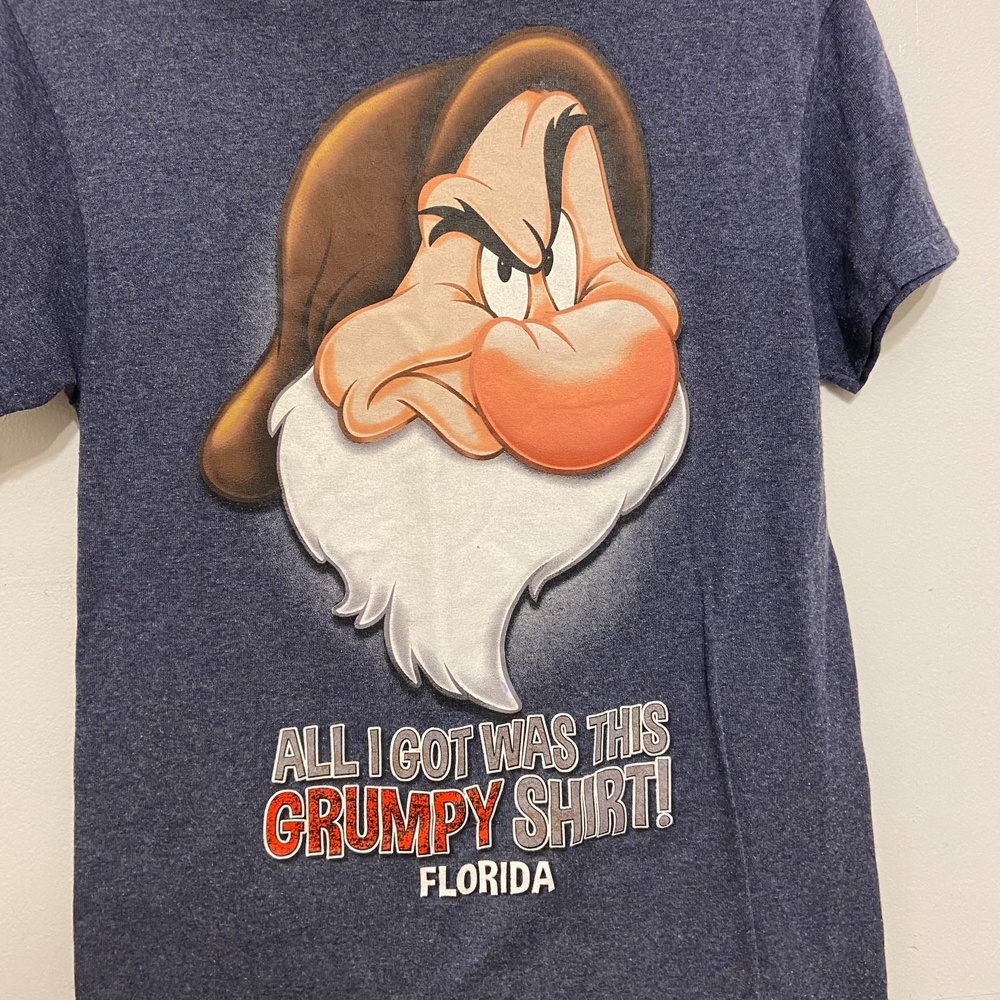 All I Got Was This GRUMPY Shirt Florida Disney brand Souvenir TShirt  Size Small
